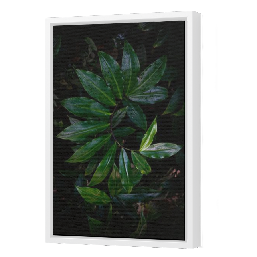 Thumbnail for Canvas - White Floating Frame