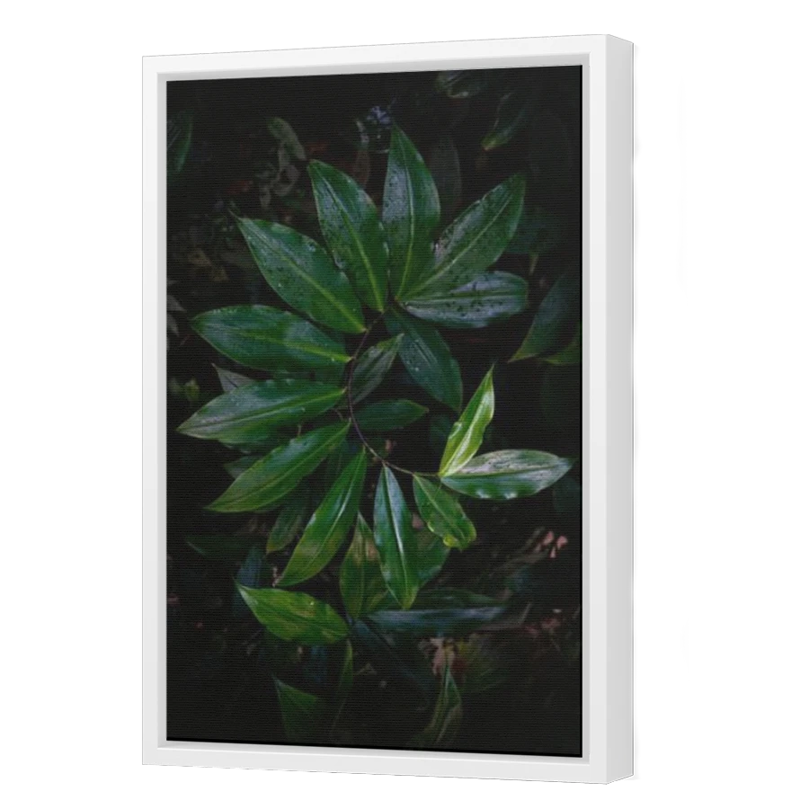 Thumbnail for Canvas - White Floating Frame