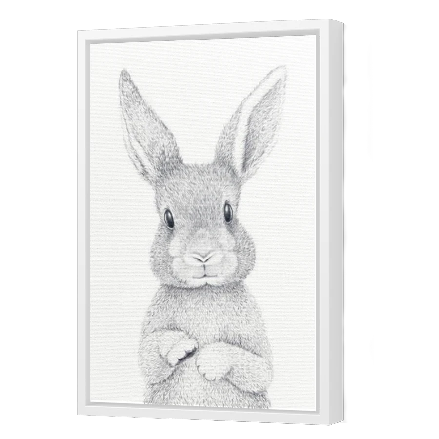 Thumbnail for Canvas - White Floating Frame