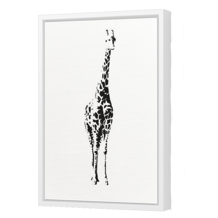 Thumbnail for Canvas - White Floating Frame