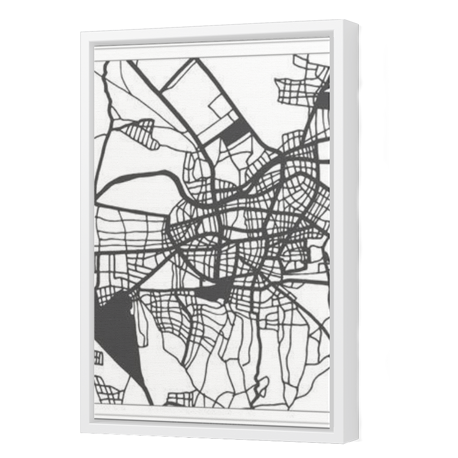 Thumbnail for Canvas - White Floating Frame
