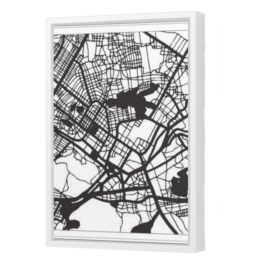Thumbnail for Canvas - White Floating Frame