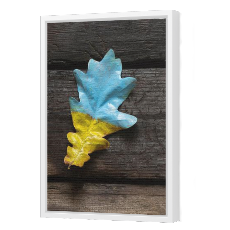Thumbnail for Canvas - White Floating Frame