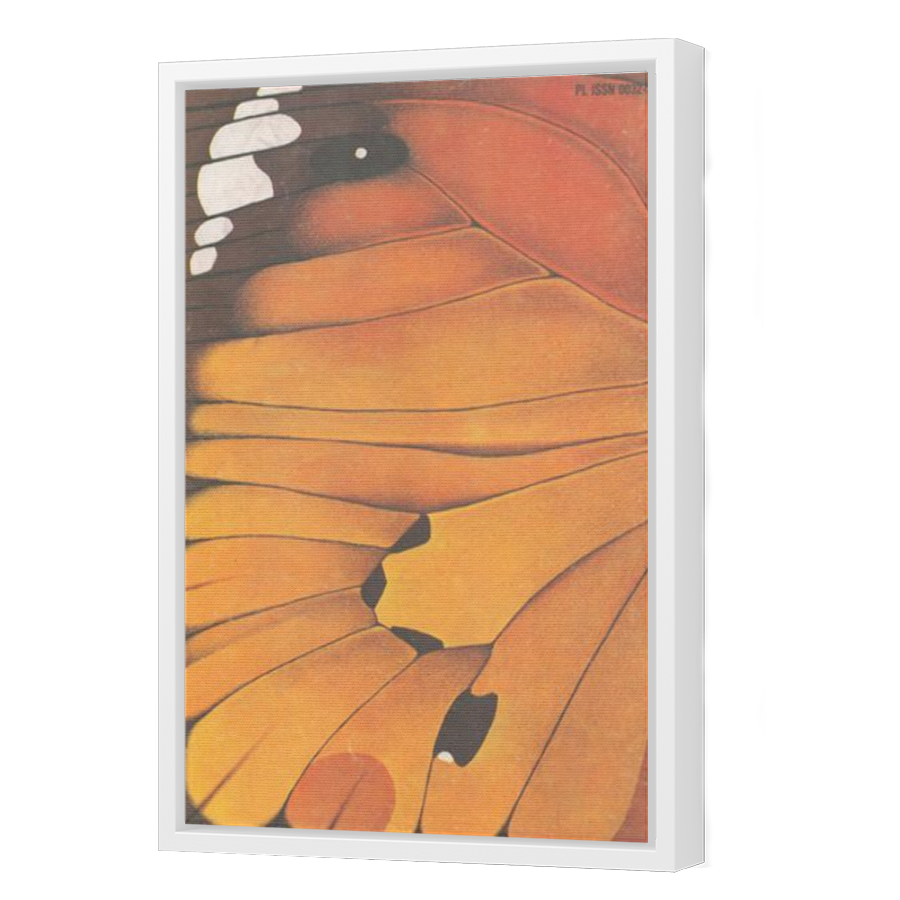Thumbnail for Canvas - White Floating Frame