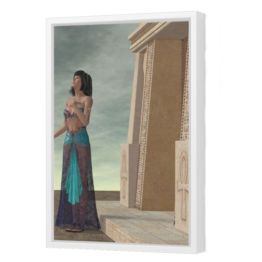 Thumbnail for Canvas - White Floating Frame