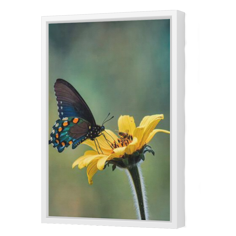 Thumbnail for Canvas - White Floating Frame