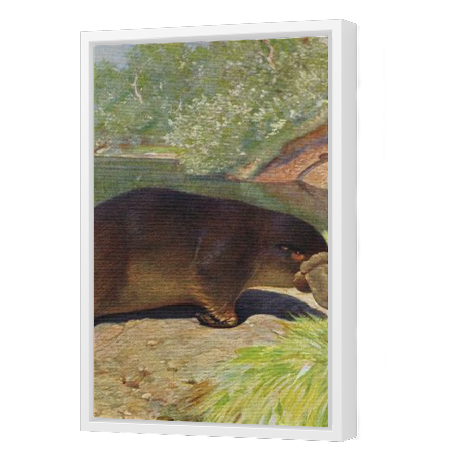Thumbnail for Canvas - White Floating Frame