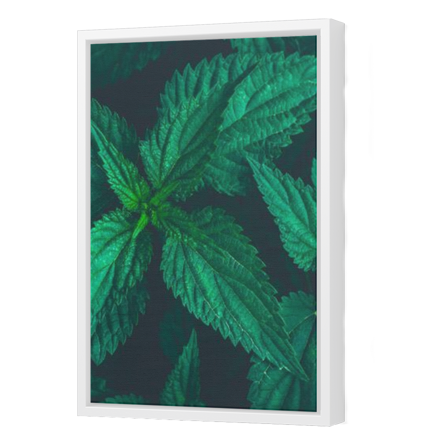 Thumbnail for Canvas - White Floating Frame