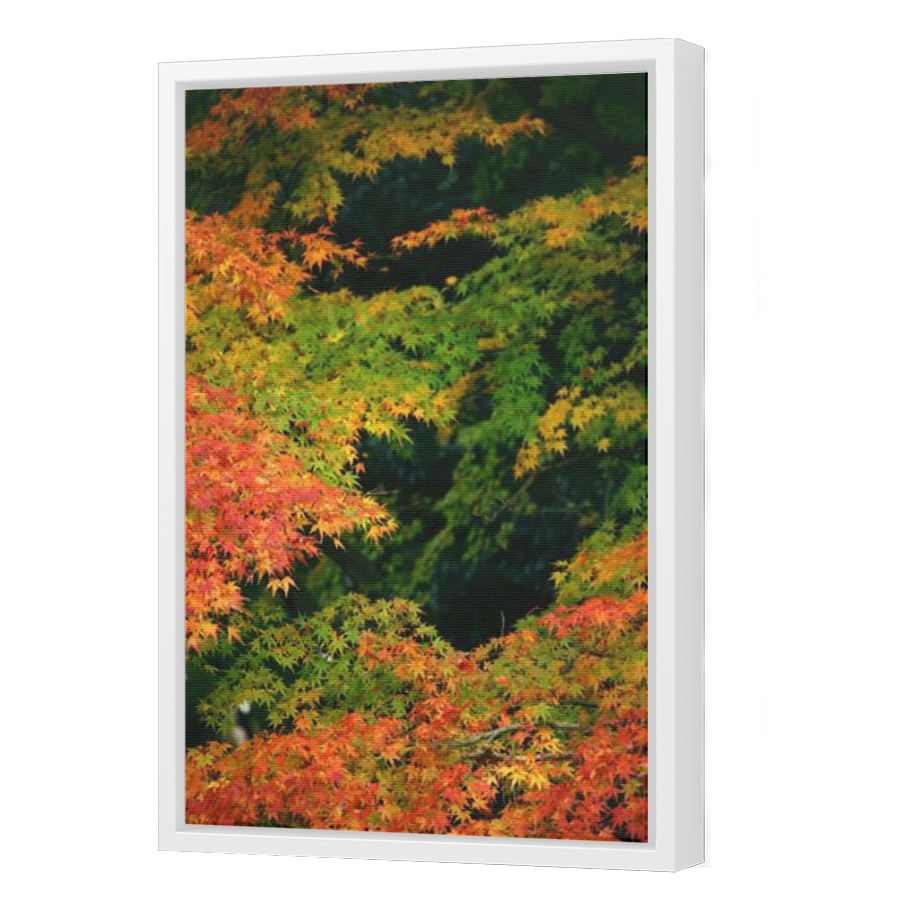 Thumbnail for Canvas - White Floating Frame