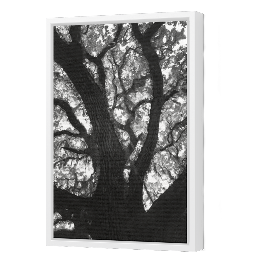 Thumbnail for Canvas - White Floating Frame