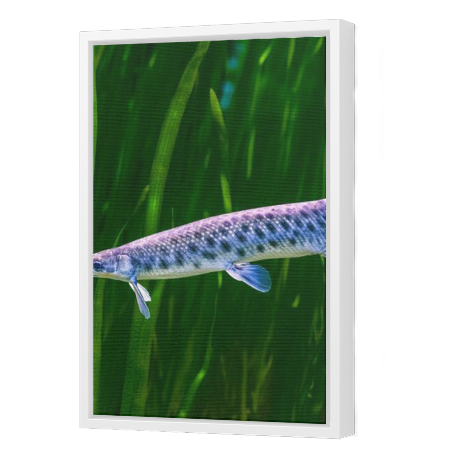 Thumbnail for Canvas - White Floating Frame