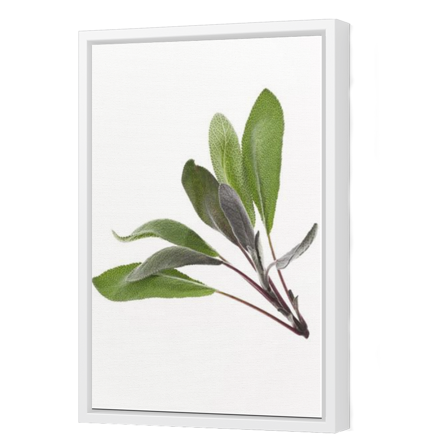 Thumbnail for Canvas - White Floating Frame