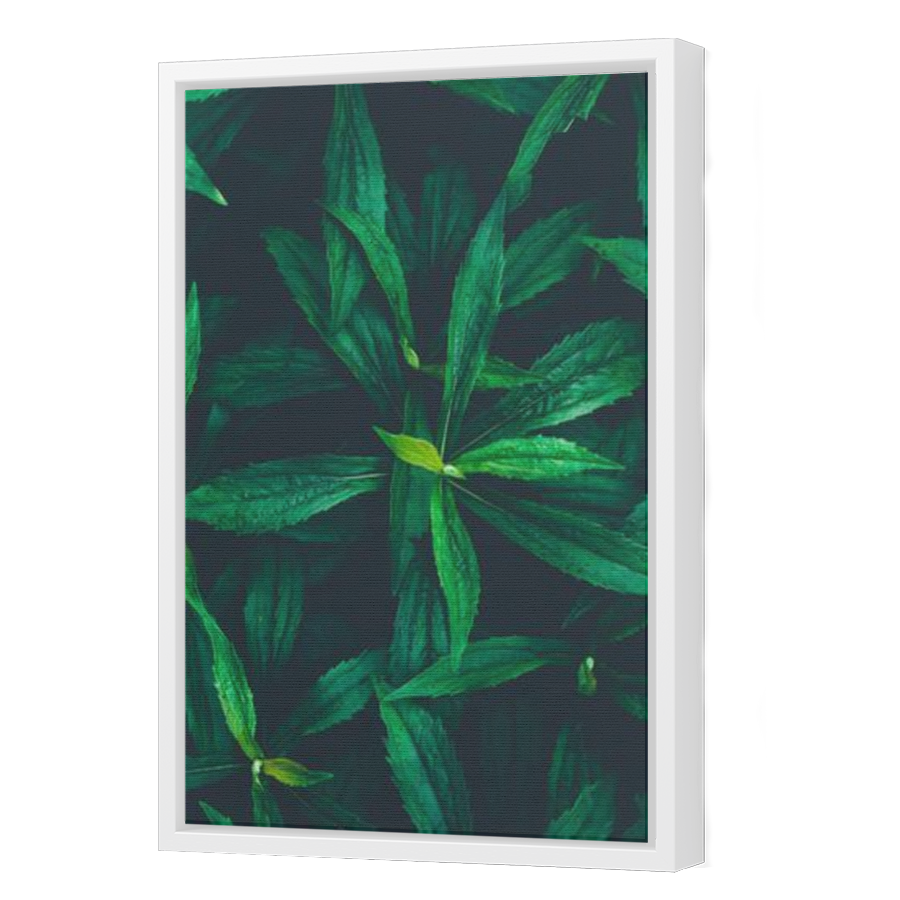Thumbnail for Canvas - White Floating Frame