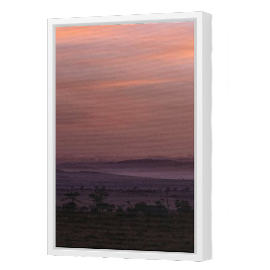 Thumbnail for Canvas - White Floating Frame