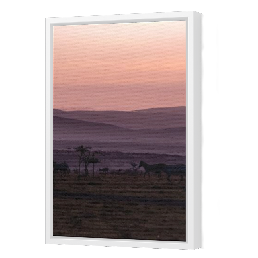 Thumbnail for Canvas - White Floating Frame