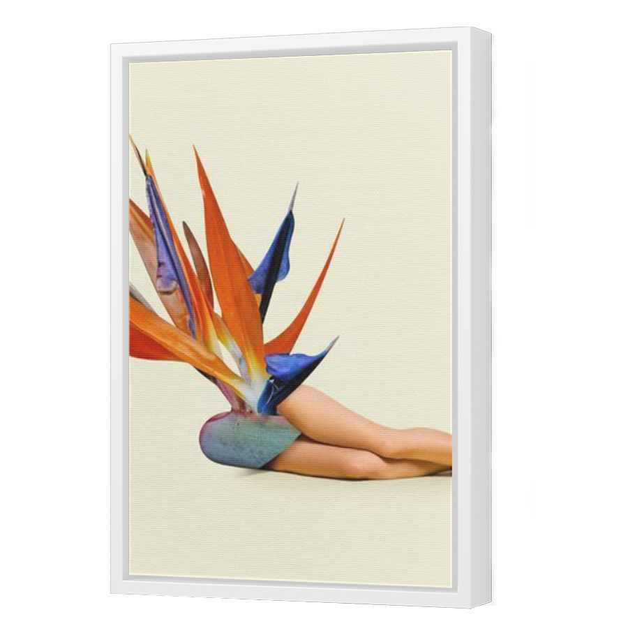 Thumbnail for Canvas - White Floating Frame
