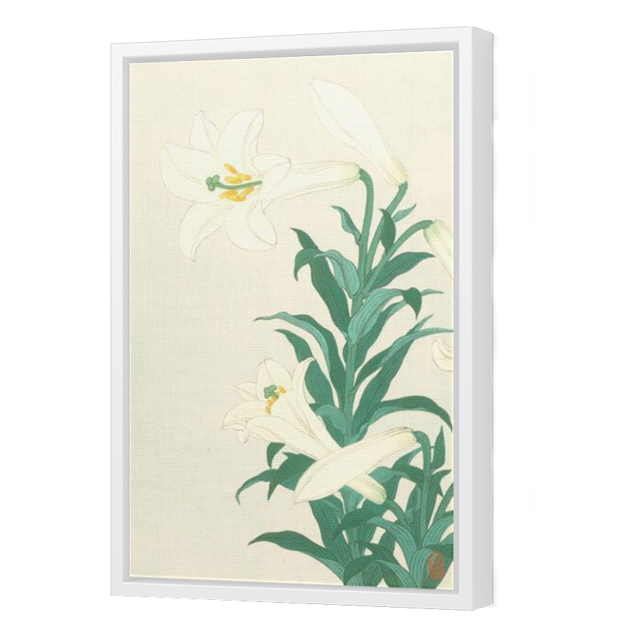Thumbnail for Canvas - White Floating Frame