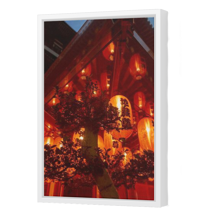 Thumbnail for Canvas - White Floating Frame