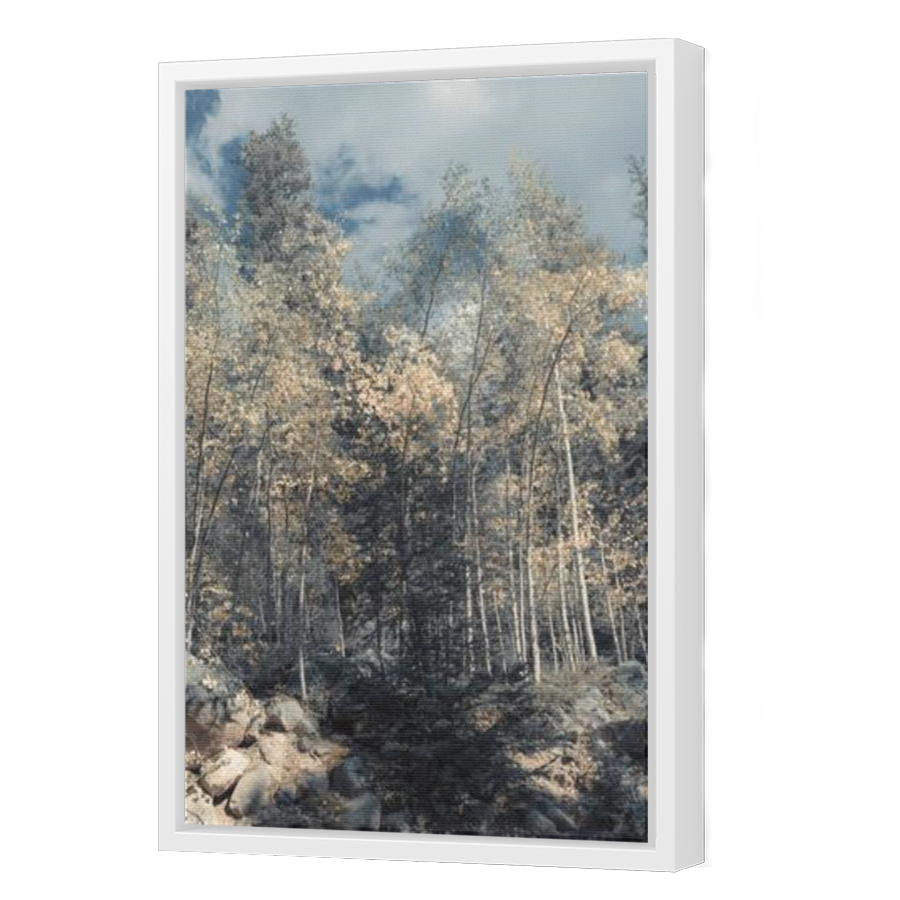 Thumbnail for Canvas - White Floating Frame