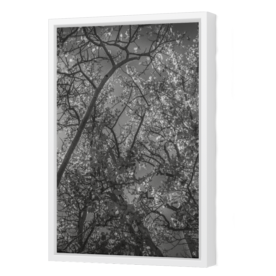 Thumbnail for Canvas - White Floating Frame