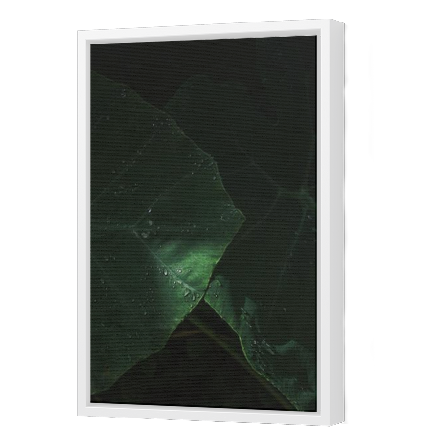 Thumbnail for Canvas - White Floating Frame