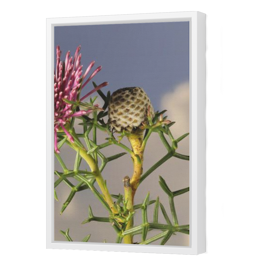 Thumbnail for Canvas - White Floating Frame