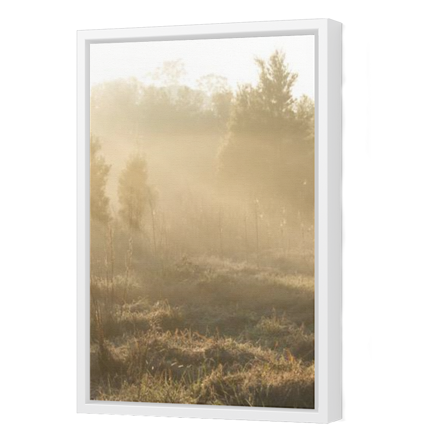 Thumbnail for Canvas - White Floating Frame
