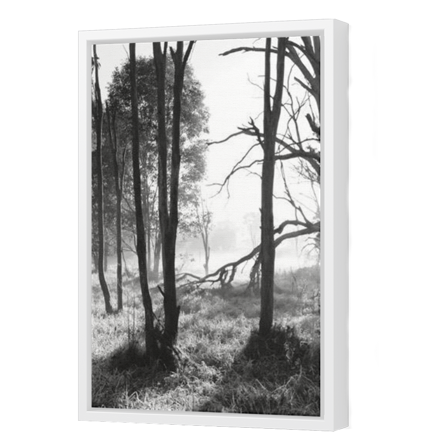 Thumbnail for Canvas - White Floating Frame
