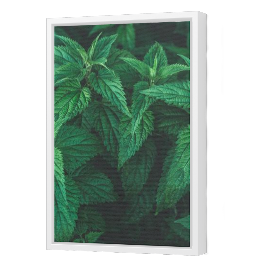 Thumbnail for Canvas - White Floating Frame