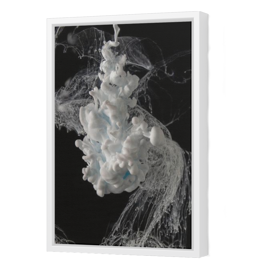 Thumbnail for Canvas - White Floating Frame