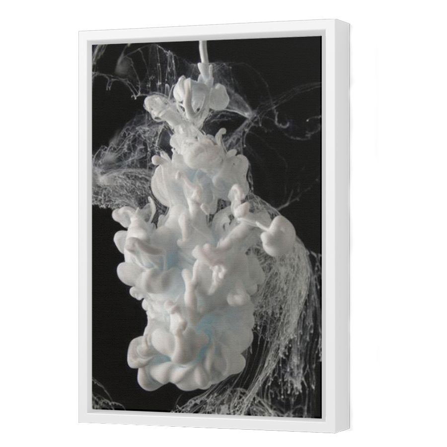 Thumbnail for Canvas - White Floating Frame