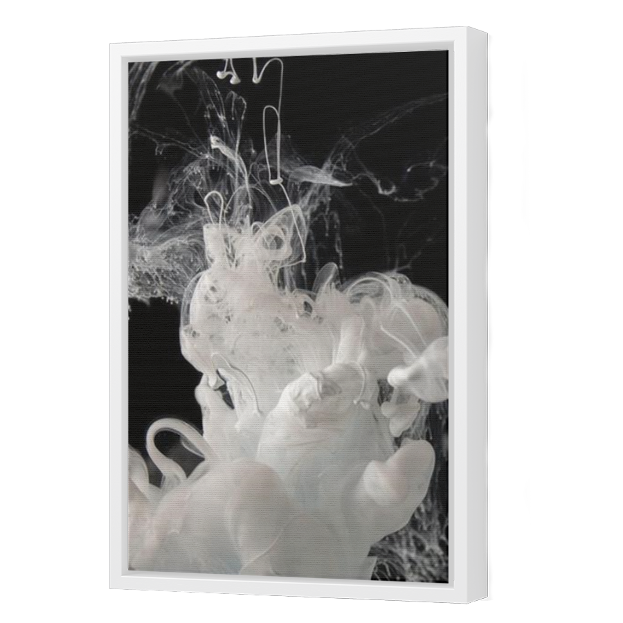 Thumbnail for Canvas - White Floating Frame