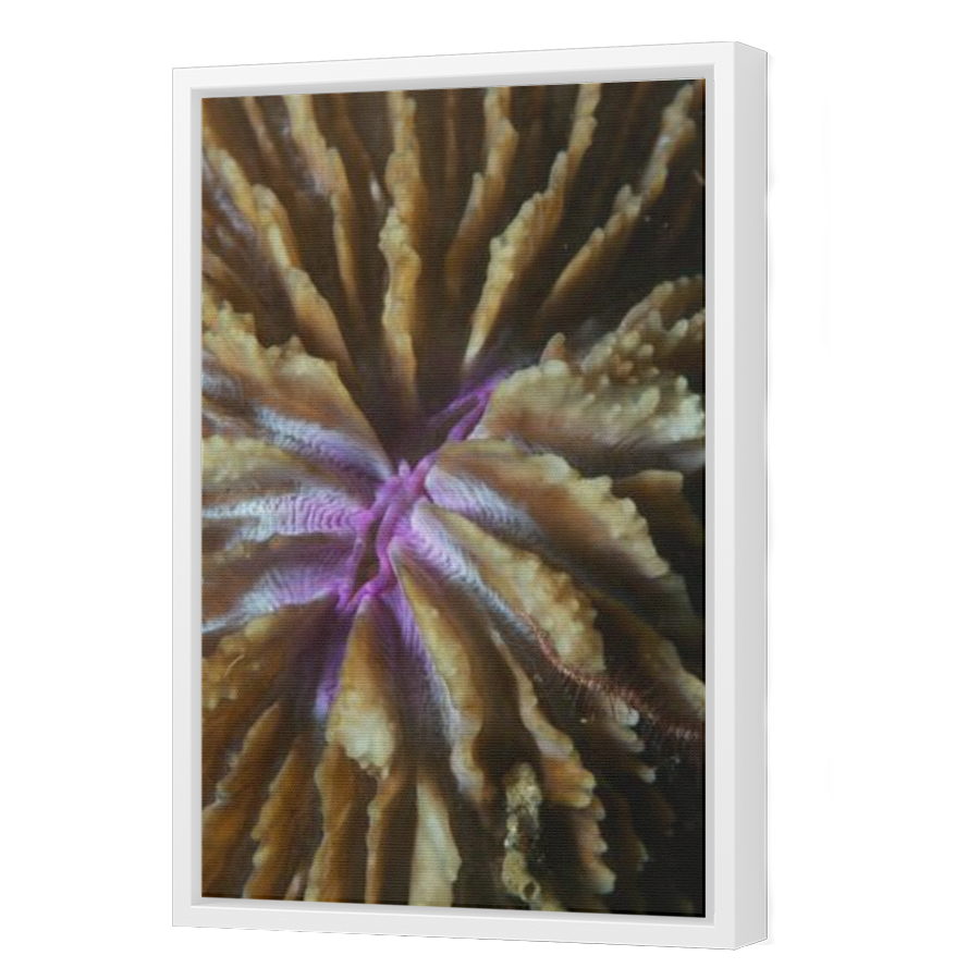 Thumbnail for Canvas - White Floating Frame