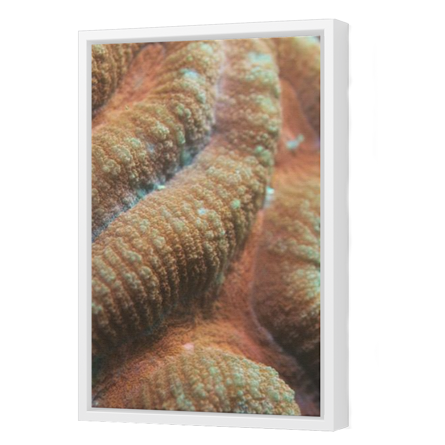 Thumbnail for Canvas - White Floating Frame