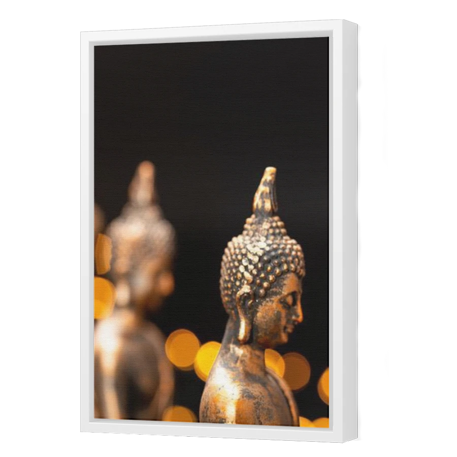 Thumbnail for Canvas - White Floating Frame