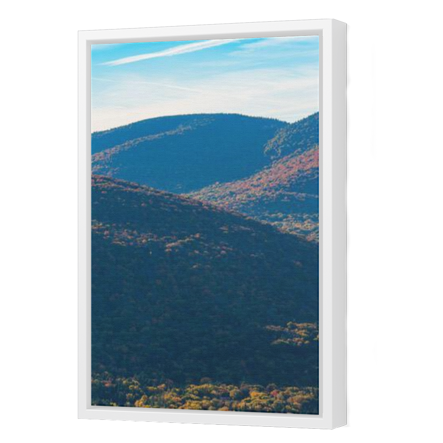 Thumbnail for Canvas - White Floating Frame