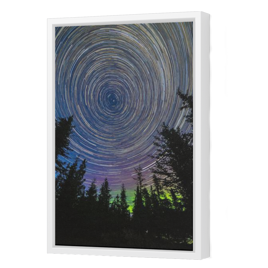 Thumbnail for Canvas - White Floating Frame