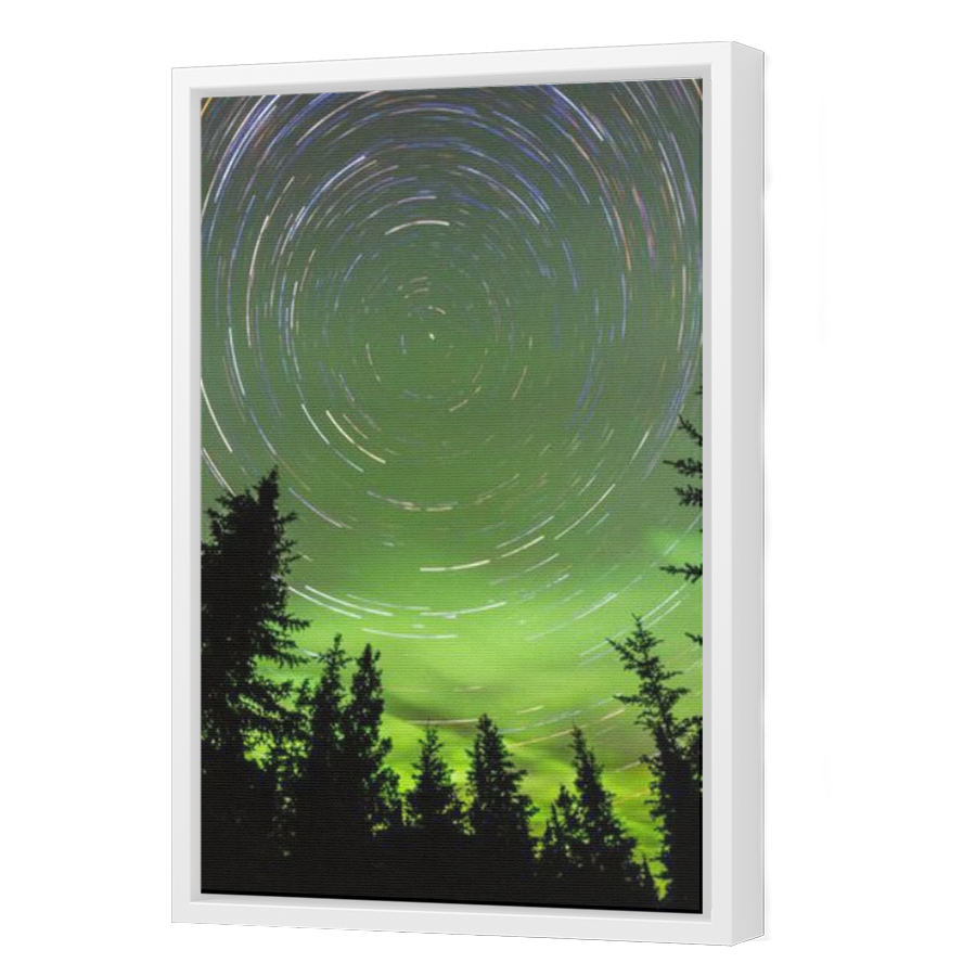 Thumbnail for Canvas - White Floating Frame