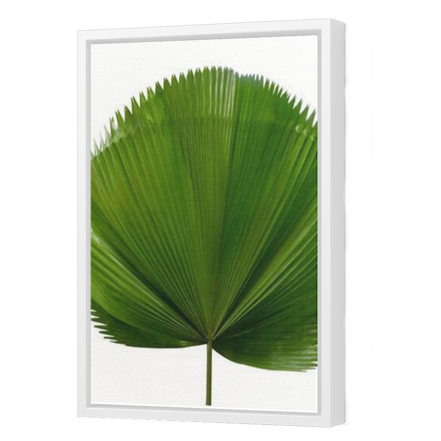 Thumbnail for Canvas - White Floating Frame