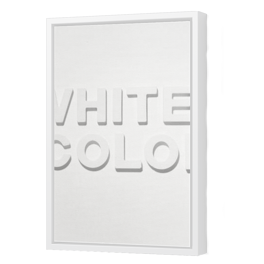 Thumbnail for Canvas - White Floating Frame