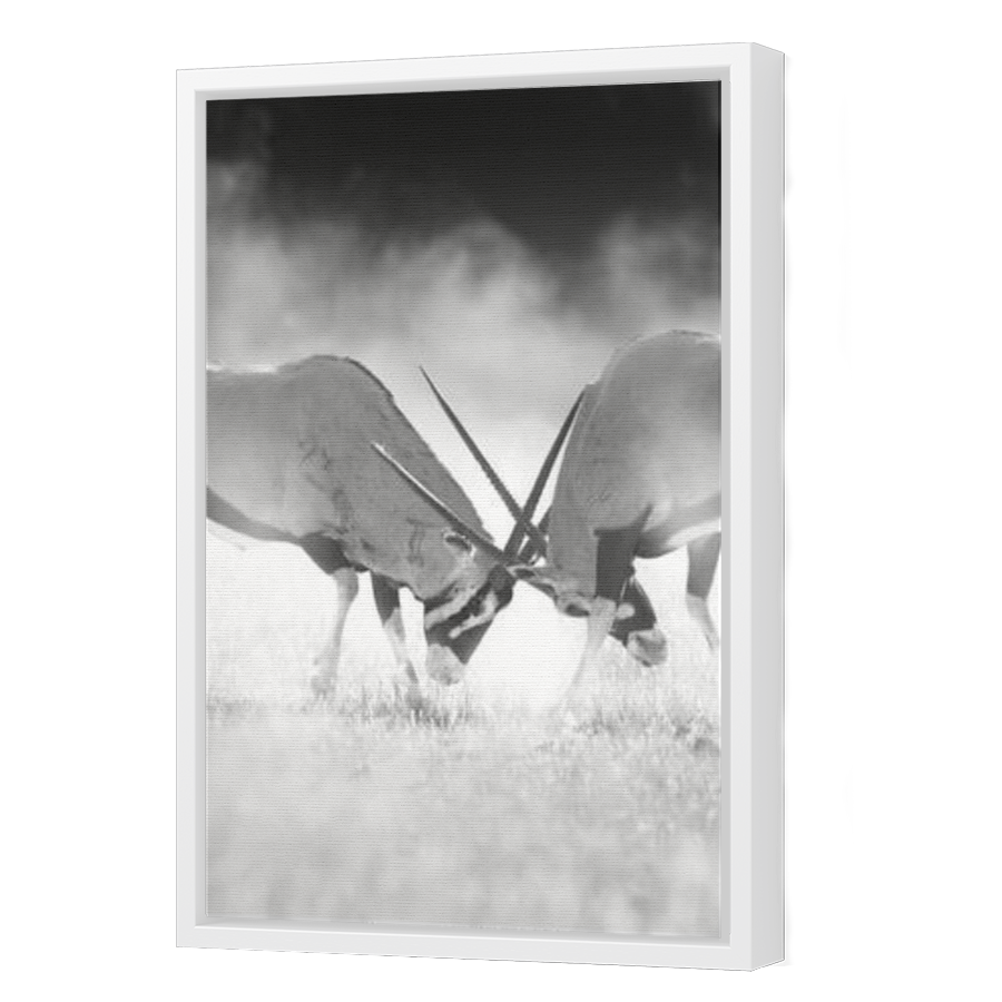 Thumbnail for Canvas - White Floating Frame