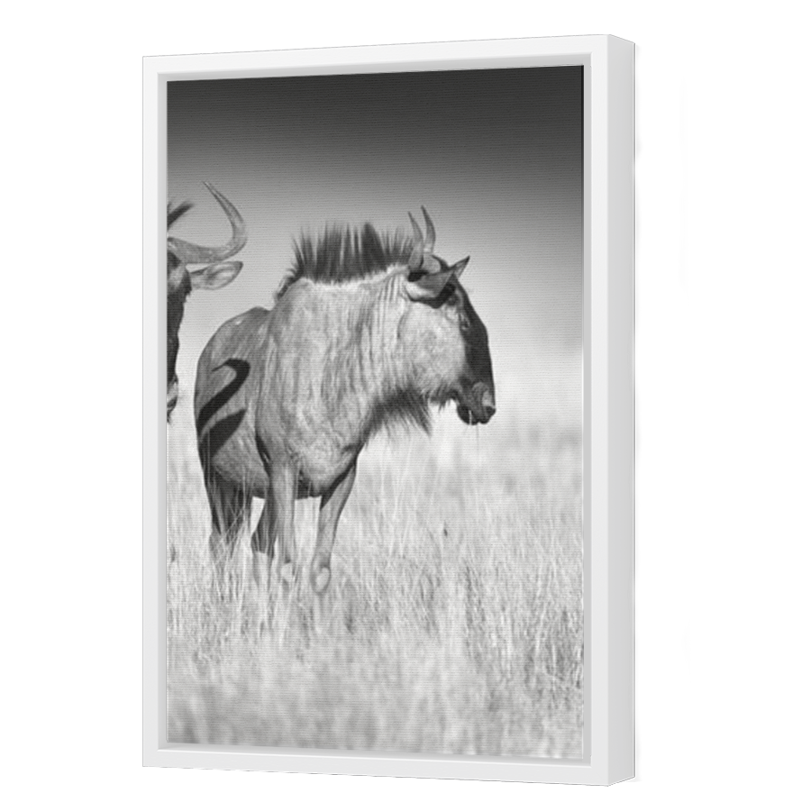 Thumbnail for Canvas - White Floating Frame