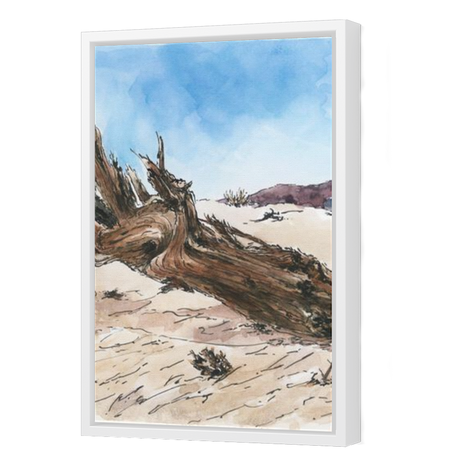 Thumbnail for Canvas - White Floating Frame