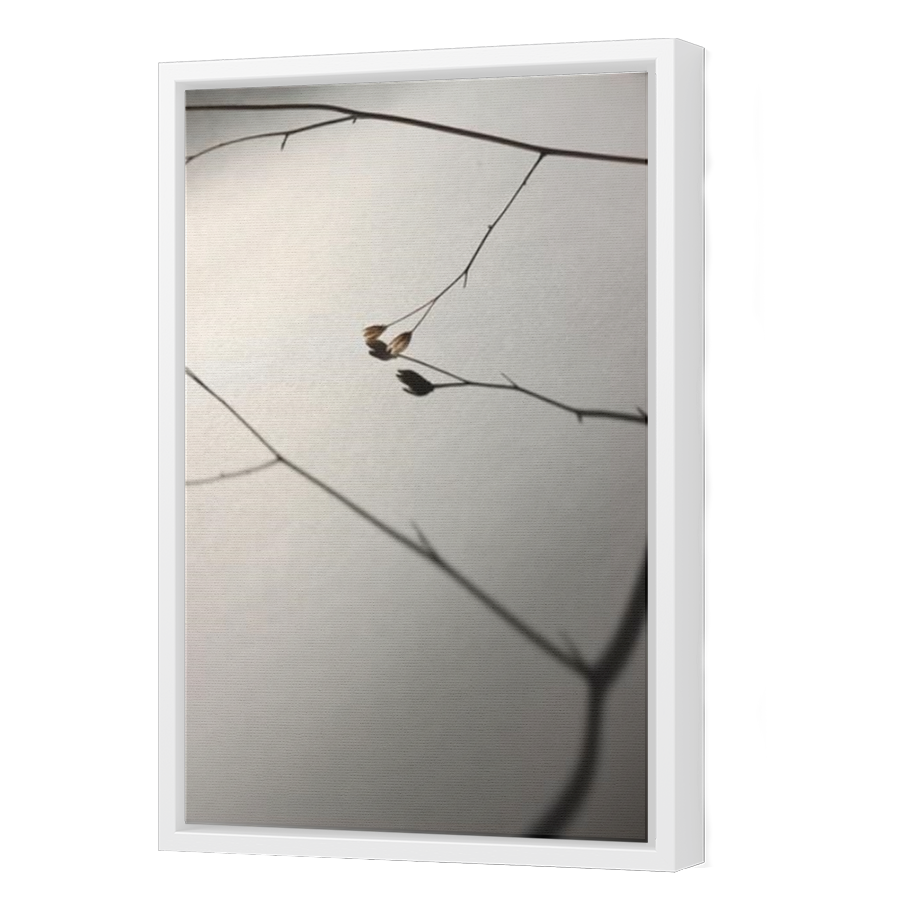 Thumbnail for Canvas - White Floating Frame