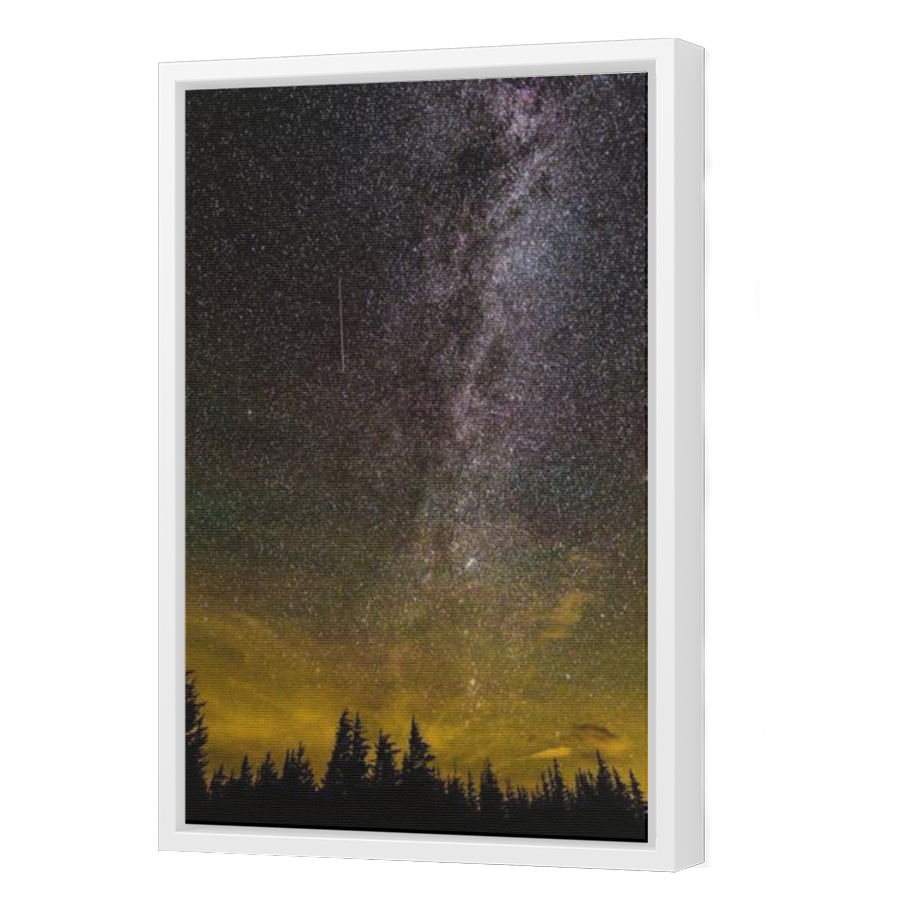 Thumbnail for Canvas - White Floating Frame