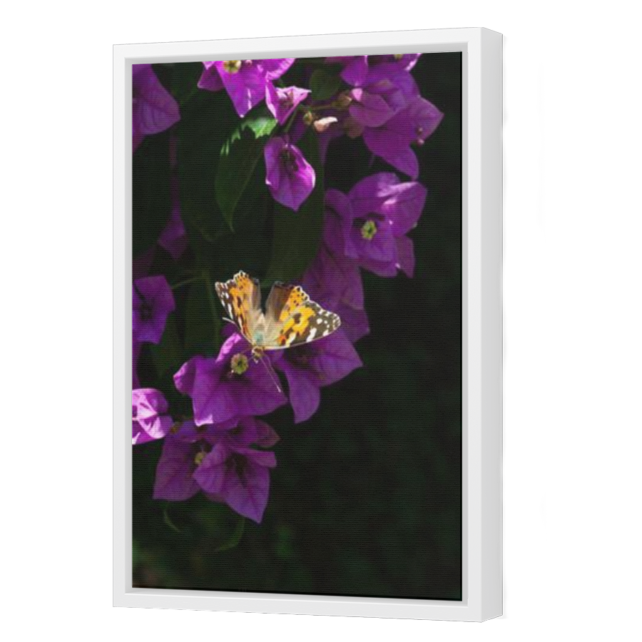 Thumbnail for Canvas - White Floating Frame
