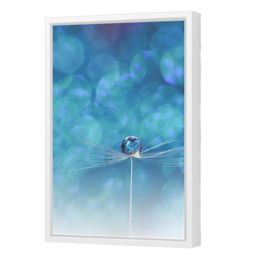 Thumbnail for Canvas - White Floating Frame