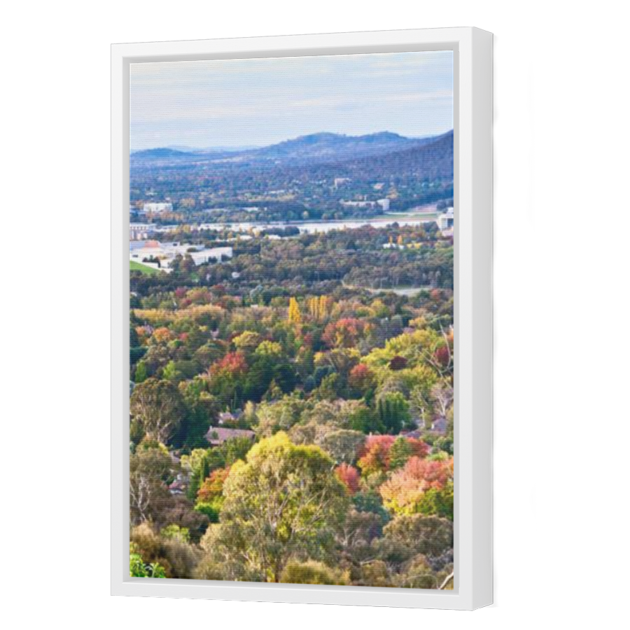 Thumbnail for Canvas - White Floating Frame