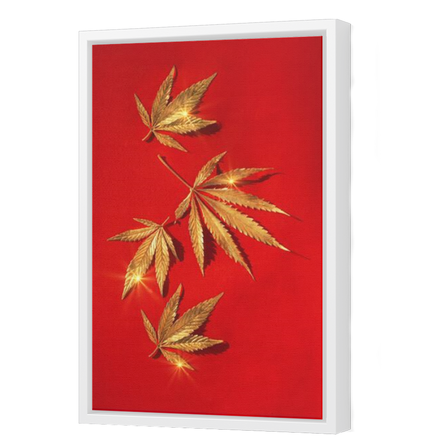 Thumbnail for Canvas - White Floating Frame