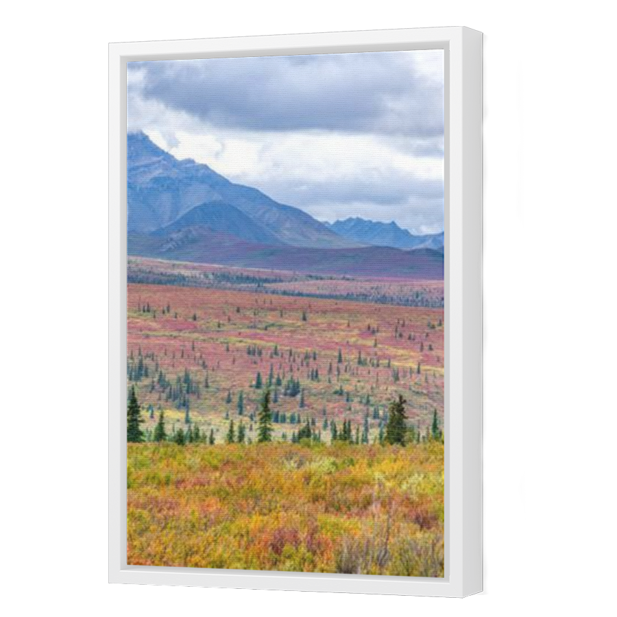 Thumbnail for Canvas - White Floating Frame
